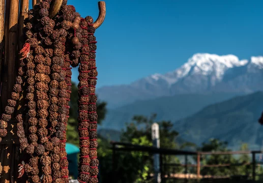 Arun Valley Rudraksha